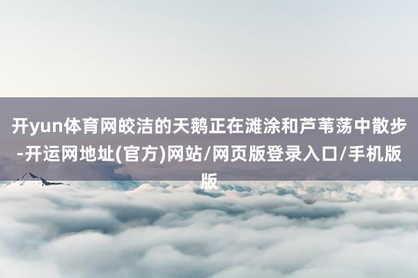 开yun体育网皎洁的天鹅正在滩涂和芦苇荡中散步-开运网地址(官方)网站/网页版登录入口/手机版