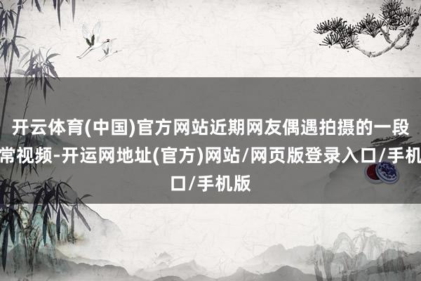 开云体育(中国)官方网站近期网友偶遇拍摄的一段日常视频-开运网地址(官方)网站/网页版登录入口/手机版